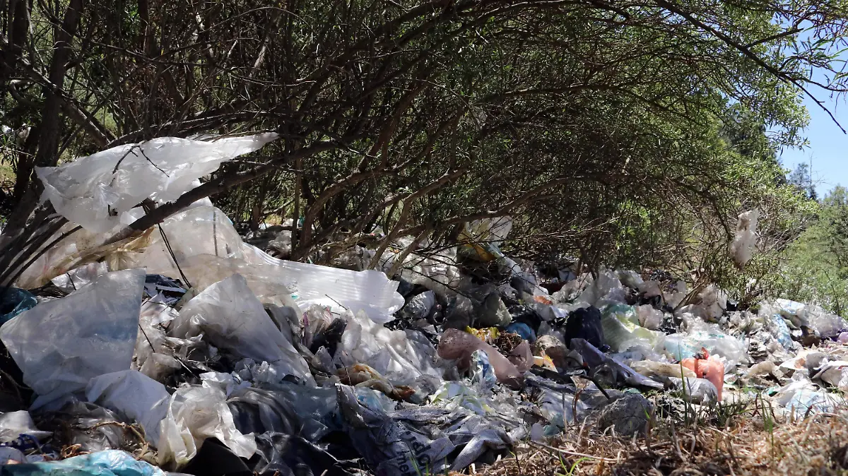 694205_Contaminación Basurero Huitzilac2_impreso