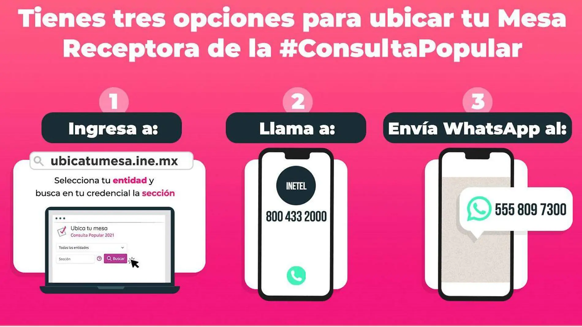 Consulta-popular-INE