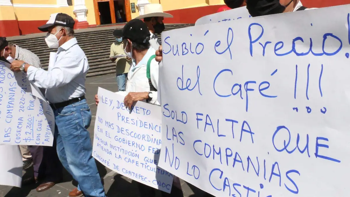 cafetaleros