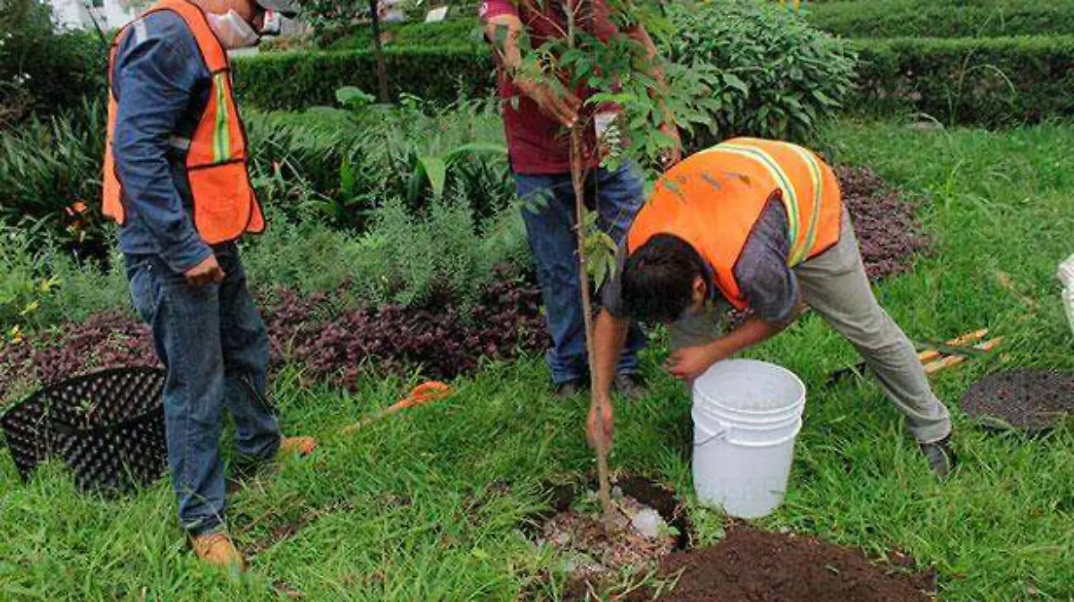 a619a37f-6a81-45a8-a0be-2cdab30a0c37