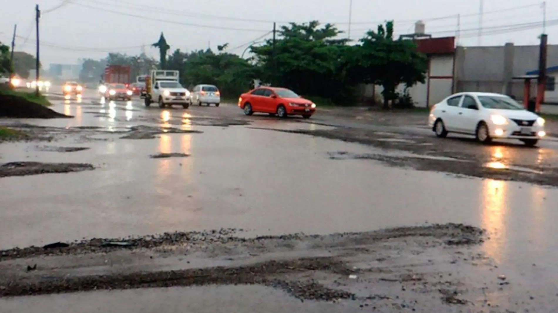 Bache-Martinez-de-la-Torre-2