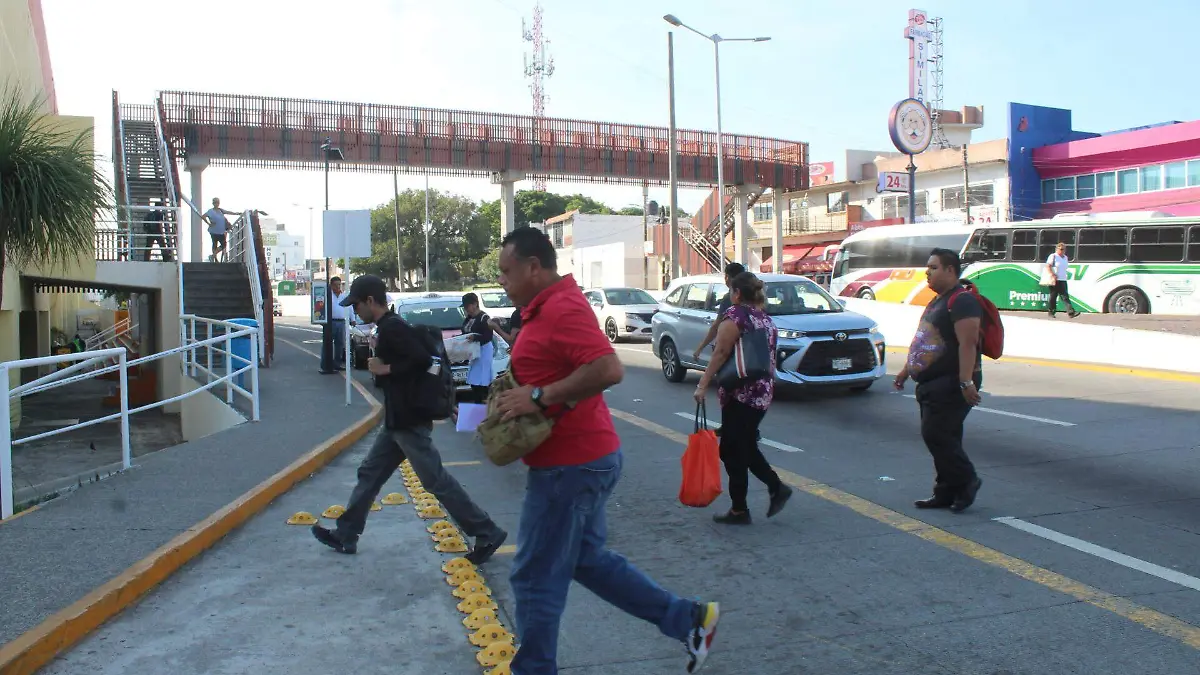 20231021085501_IMG_7865