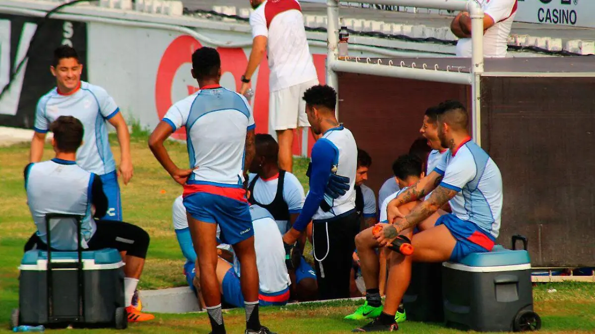 tiburones1