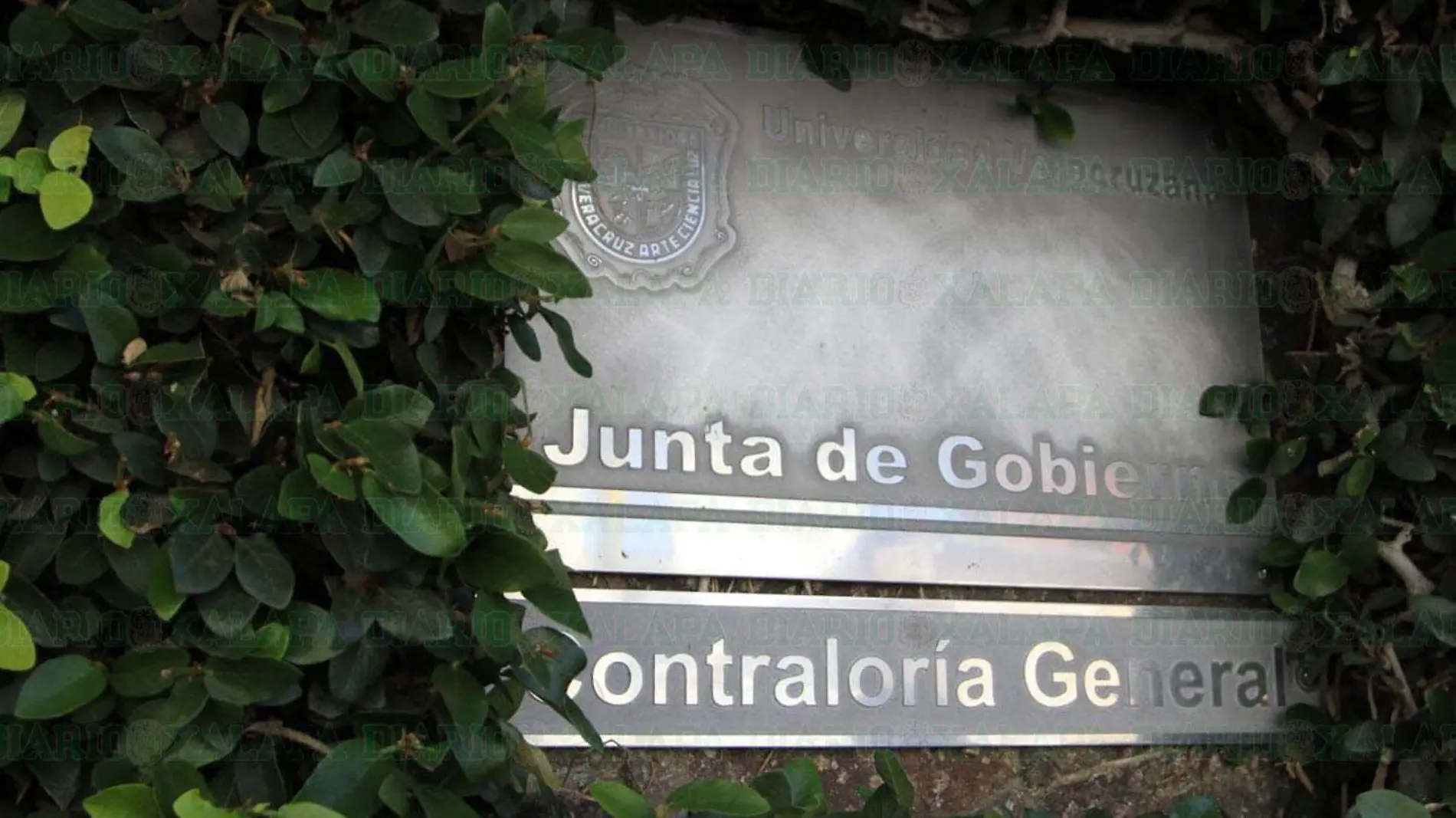 Junta-de-gobierno-de-la-UV