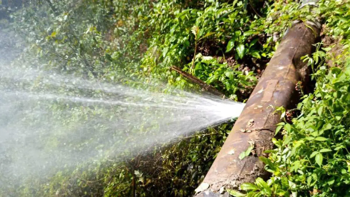 agua