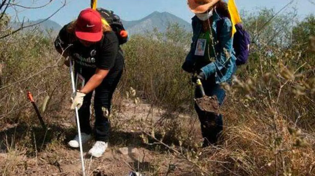 desaparecidos