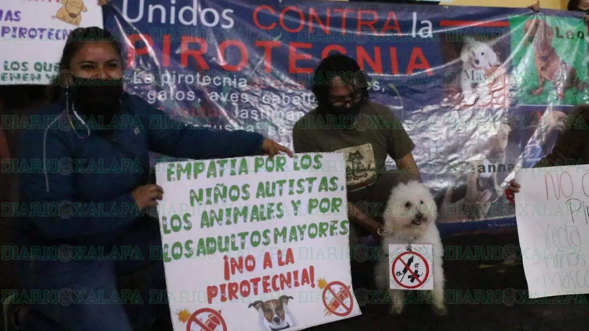 Piden-no-usar-protecnia