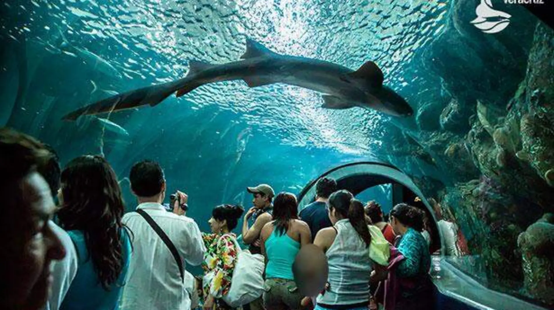 Acuario-de-Veracruz