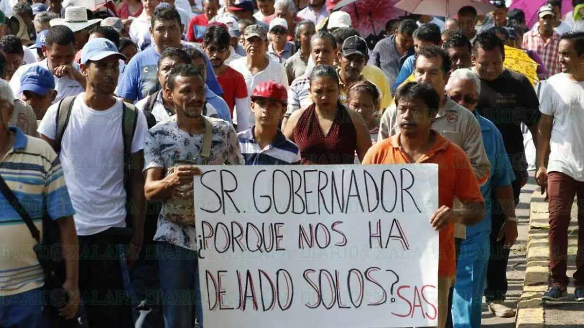 Manifestacion