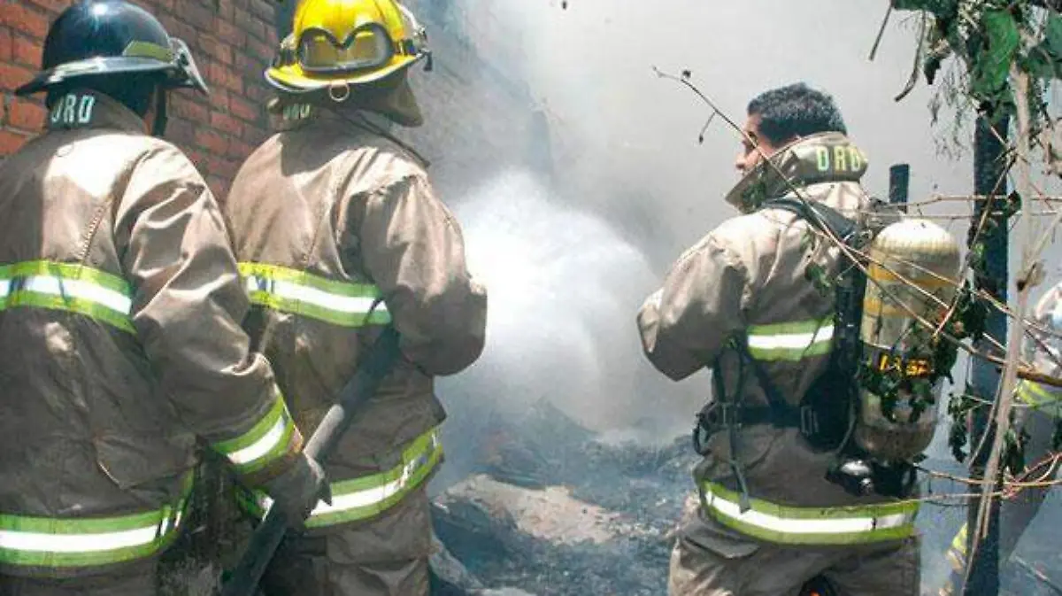 BOmbero-color
