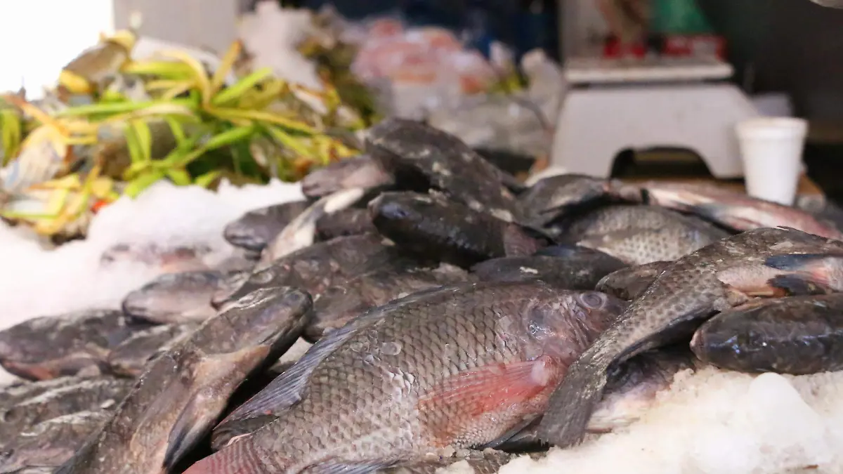  Pescaderia