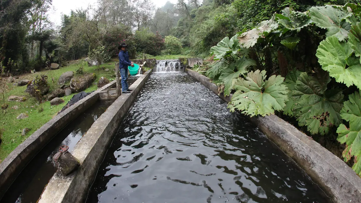 RENETRUCHAS4ENE192927