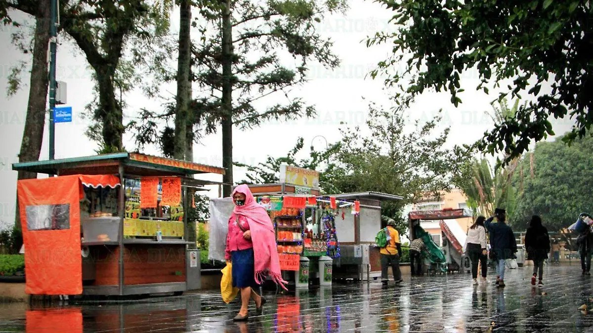 Temporada-de-lluvias-en-el-parque-juarez