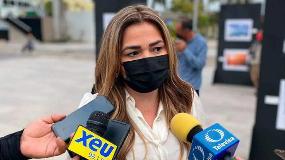 DIPUTADA-FEDERAL