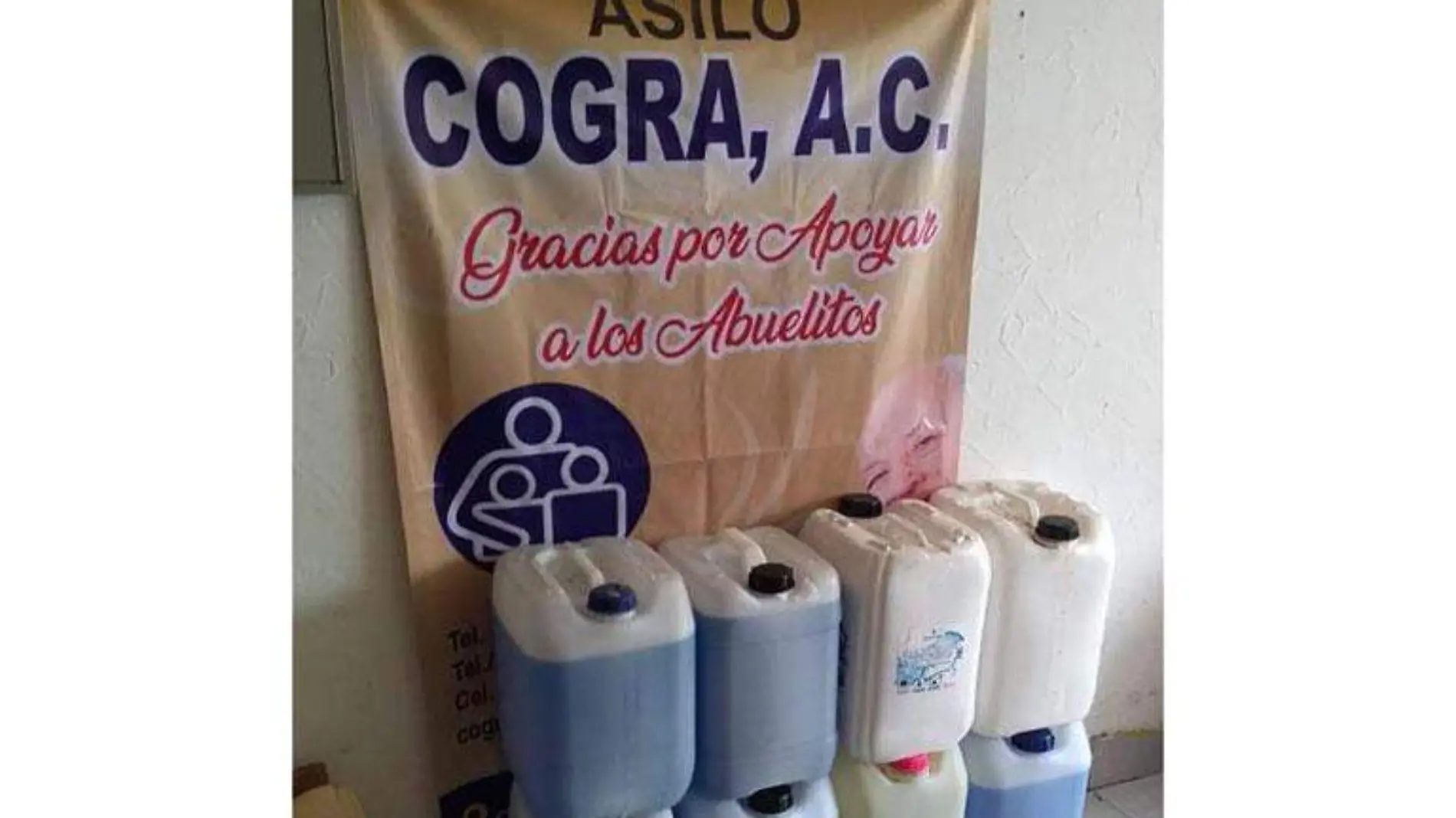 asilo-copia