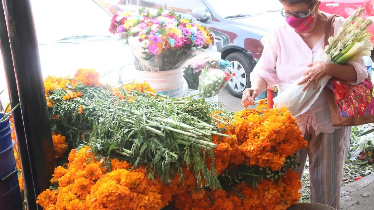 Ana Iris-DAVID BELLO-DIARIO DE XALAPA (2)