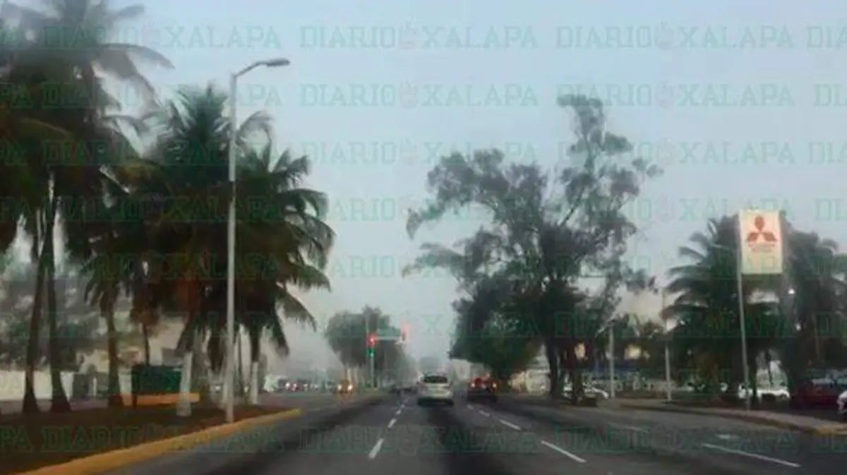 neblina1