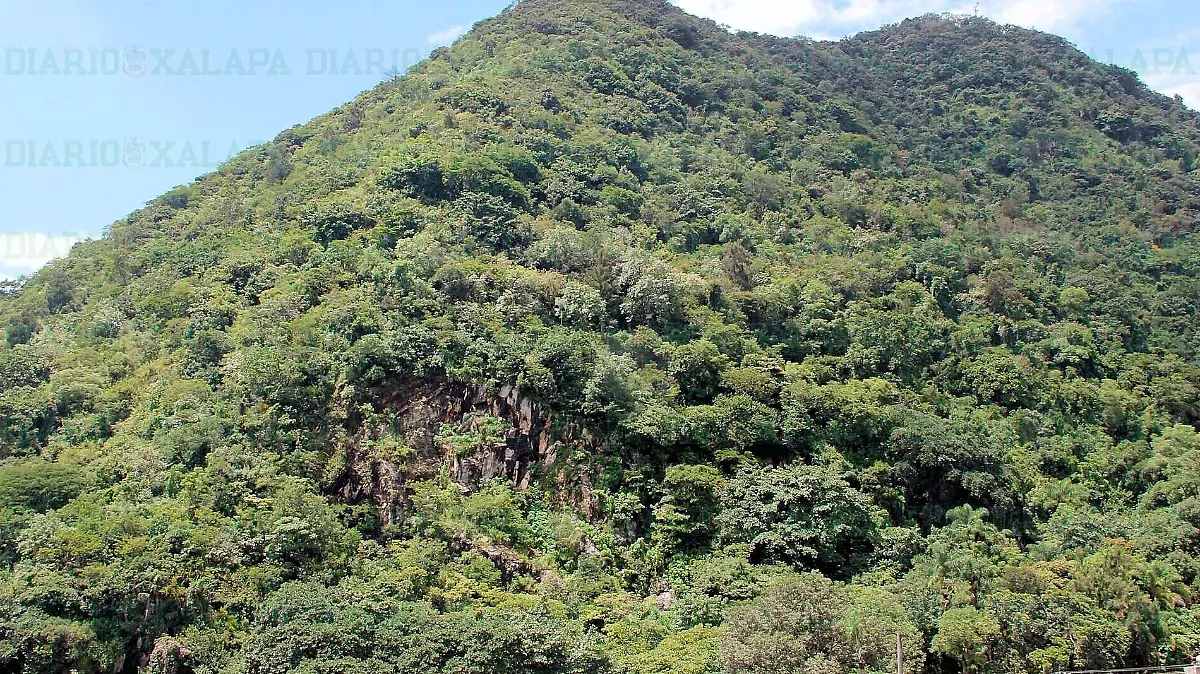 Cerro-Borrego