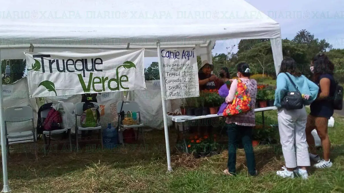 Trueque-verde