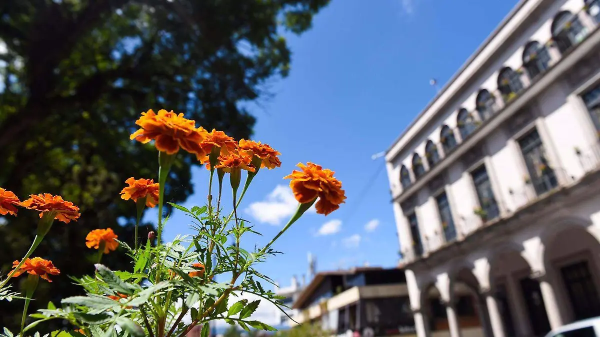 Así luce Xalapa 
