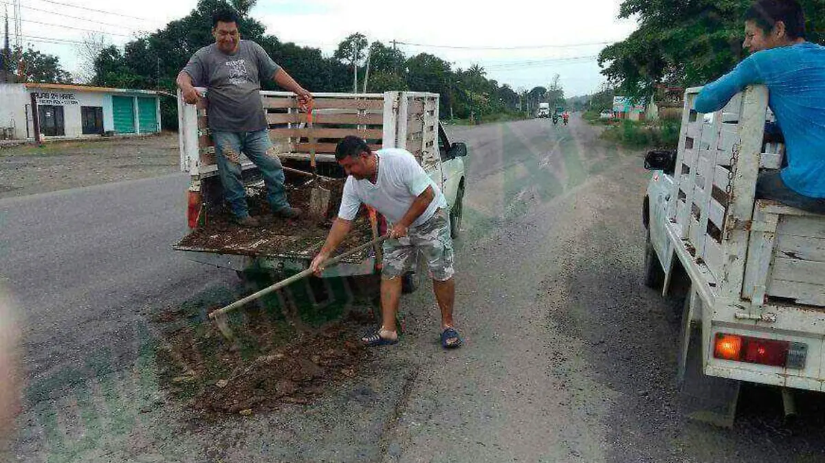 baches1