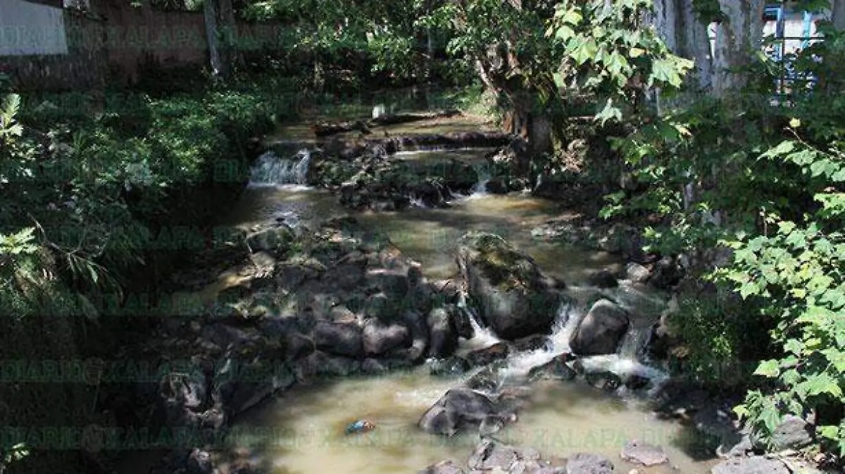 RIO-SEDEÑO