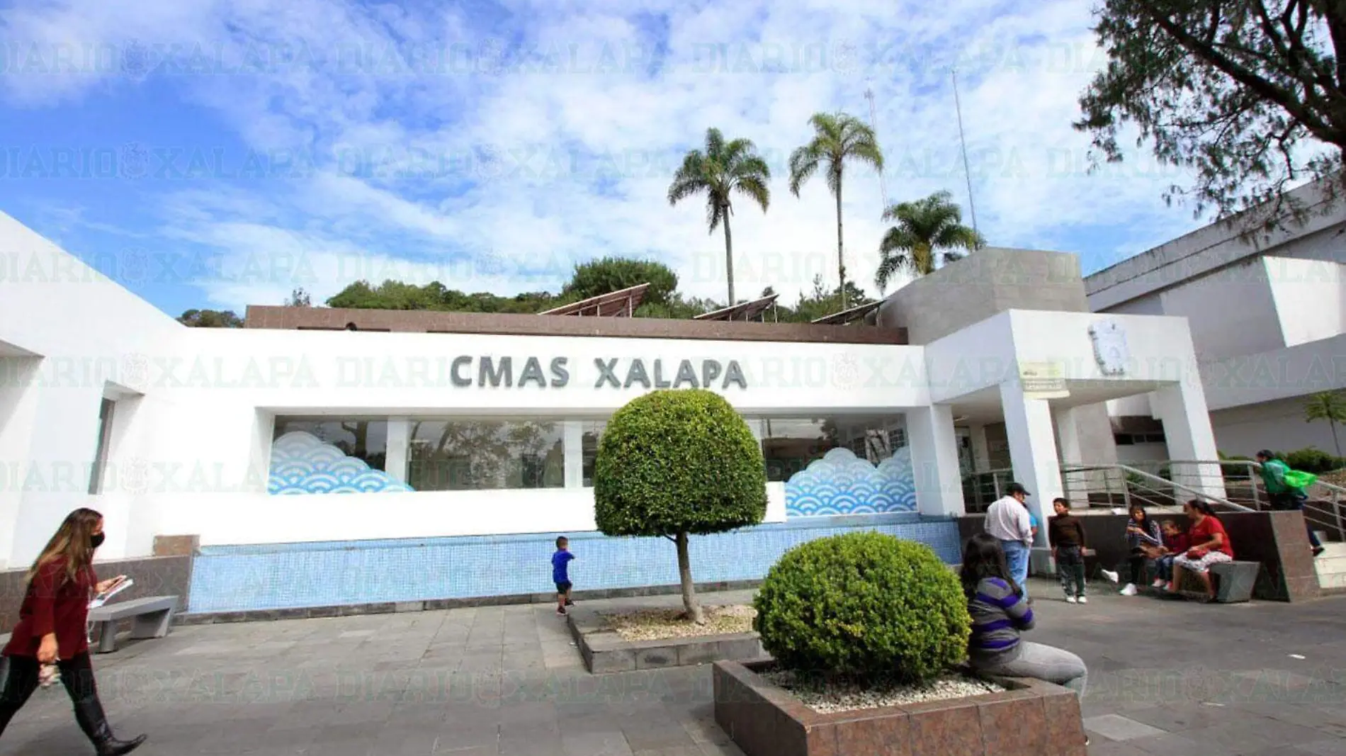 Cmas-Xalapa