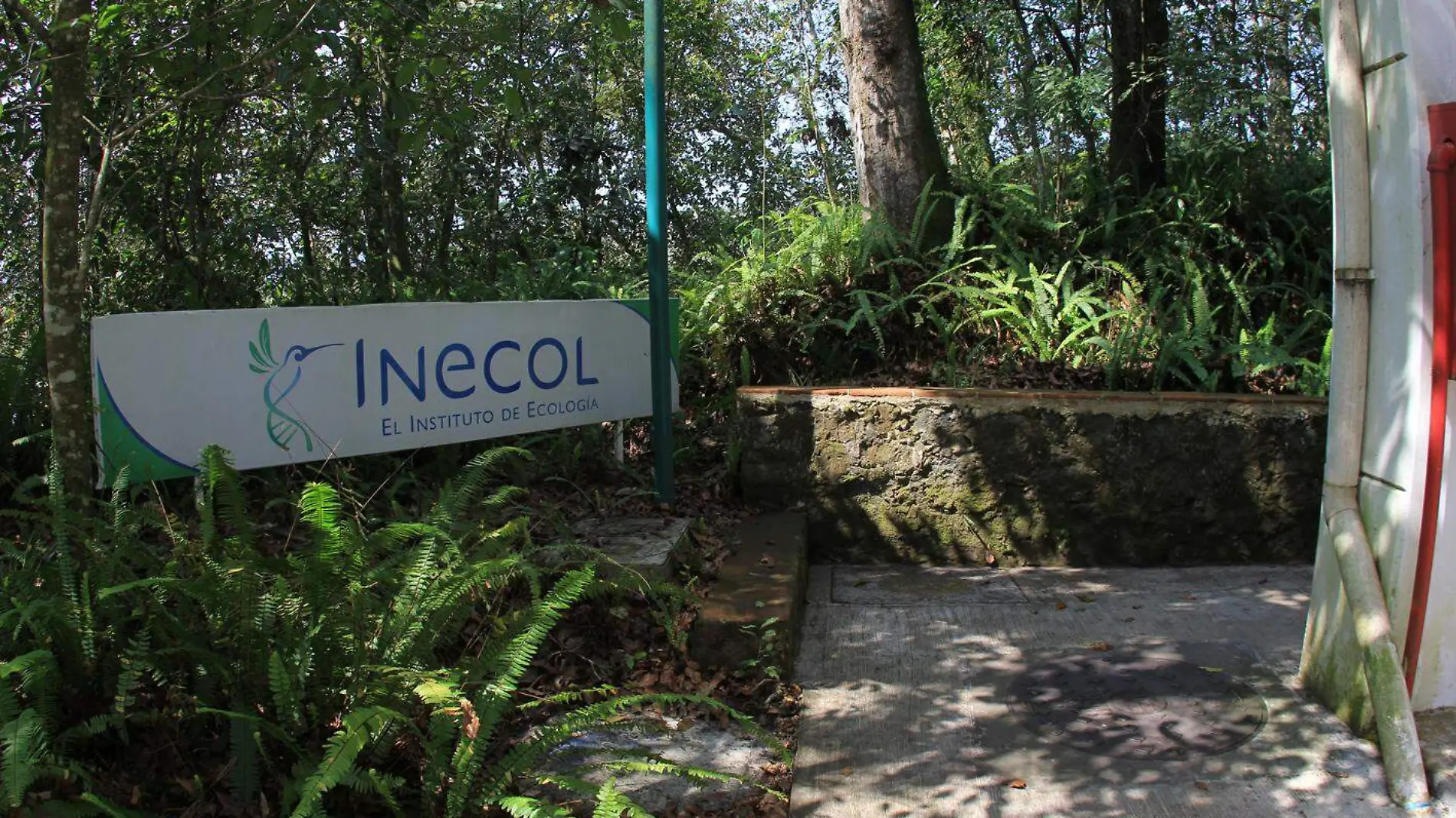 INECOL