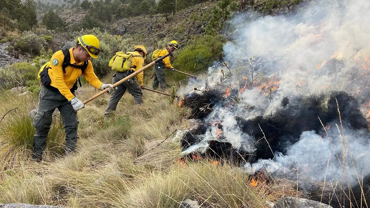 WhatsApp Image 2023-01-22 at 8.02.04 PM