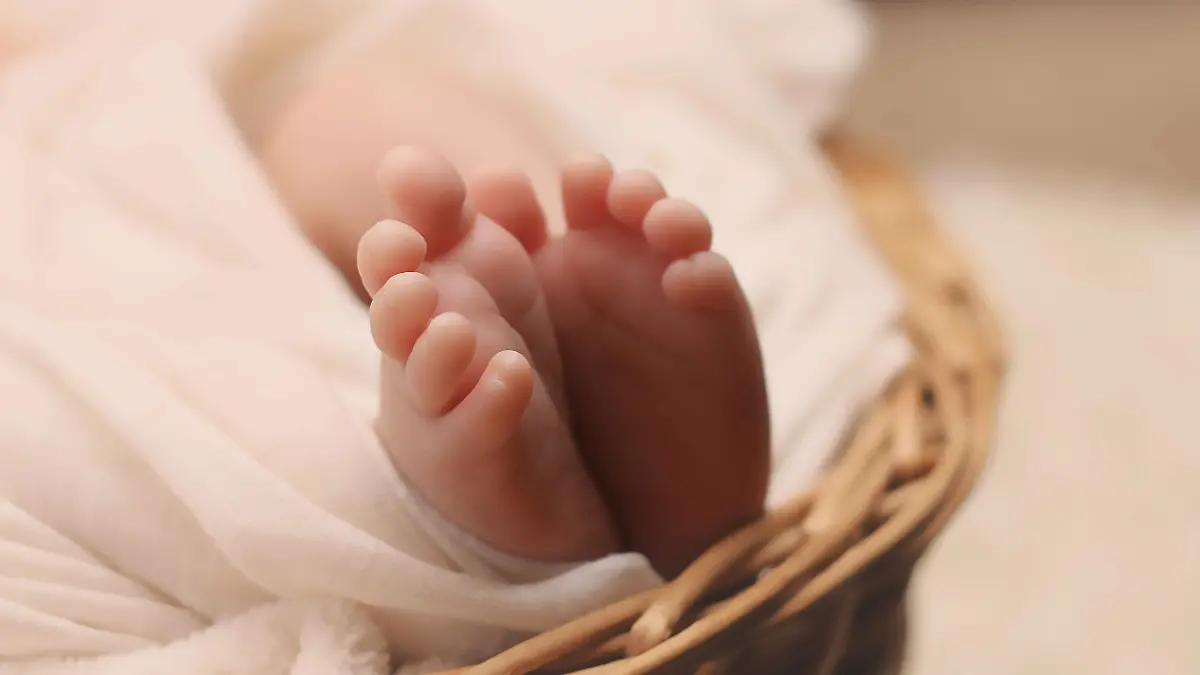 bebe