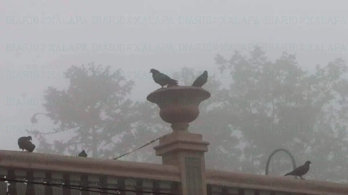 niebla1