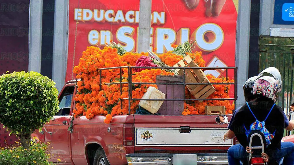 Flores-dia-de-muertos