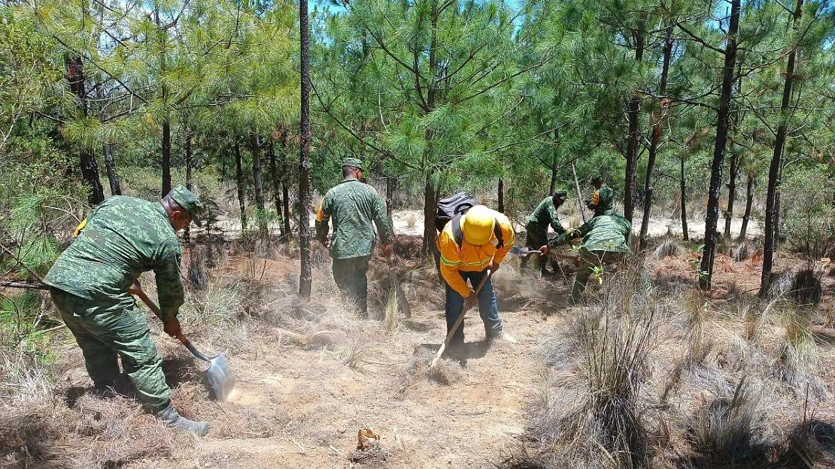 WhatsApp Image 2023-07-13 at 7.34.20 PM