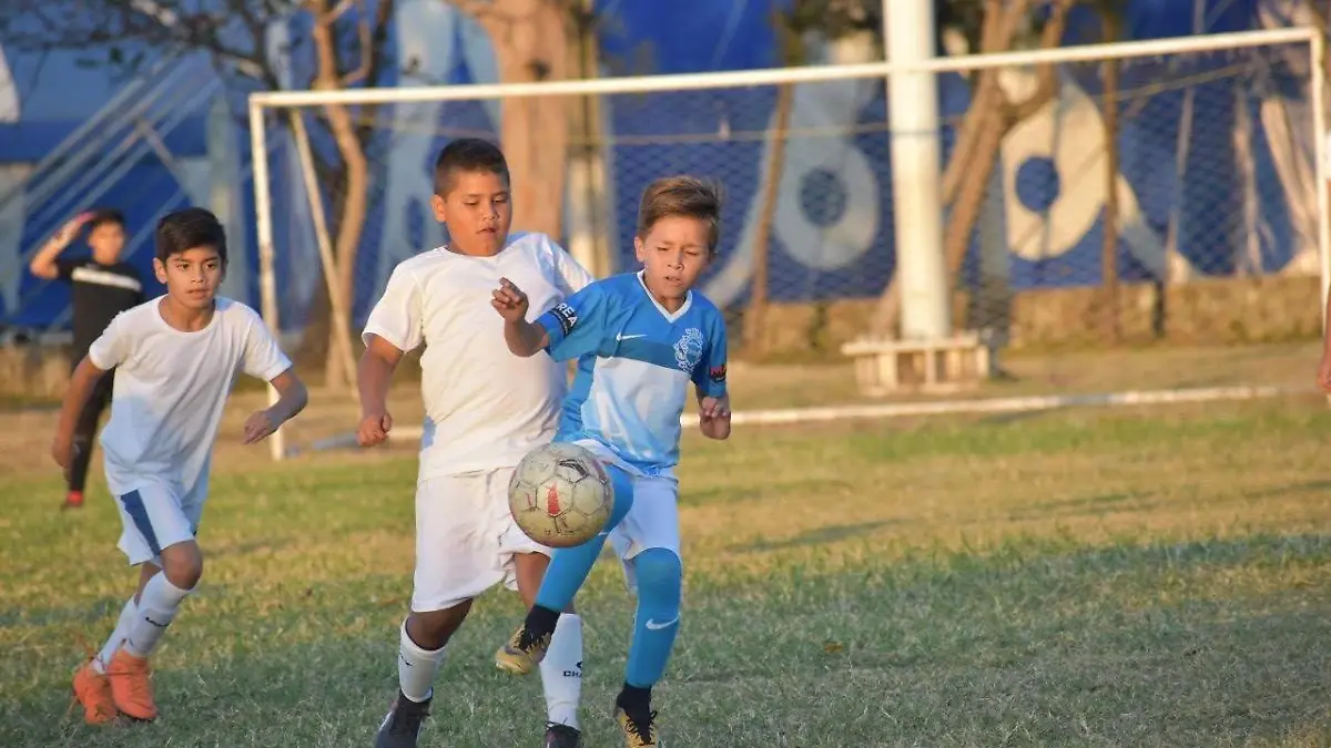 fut