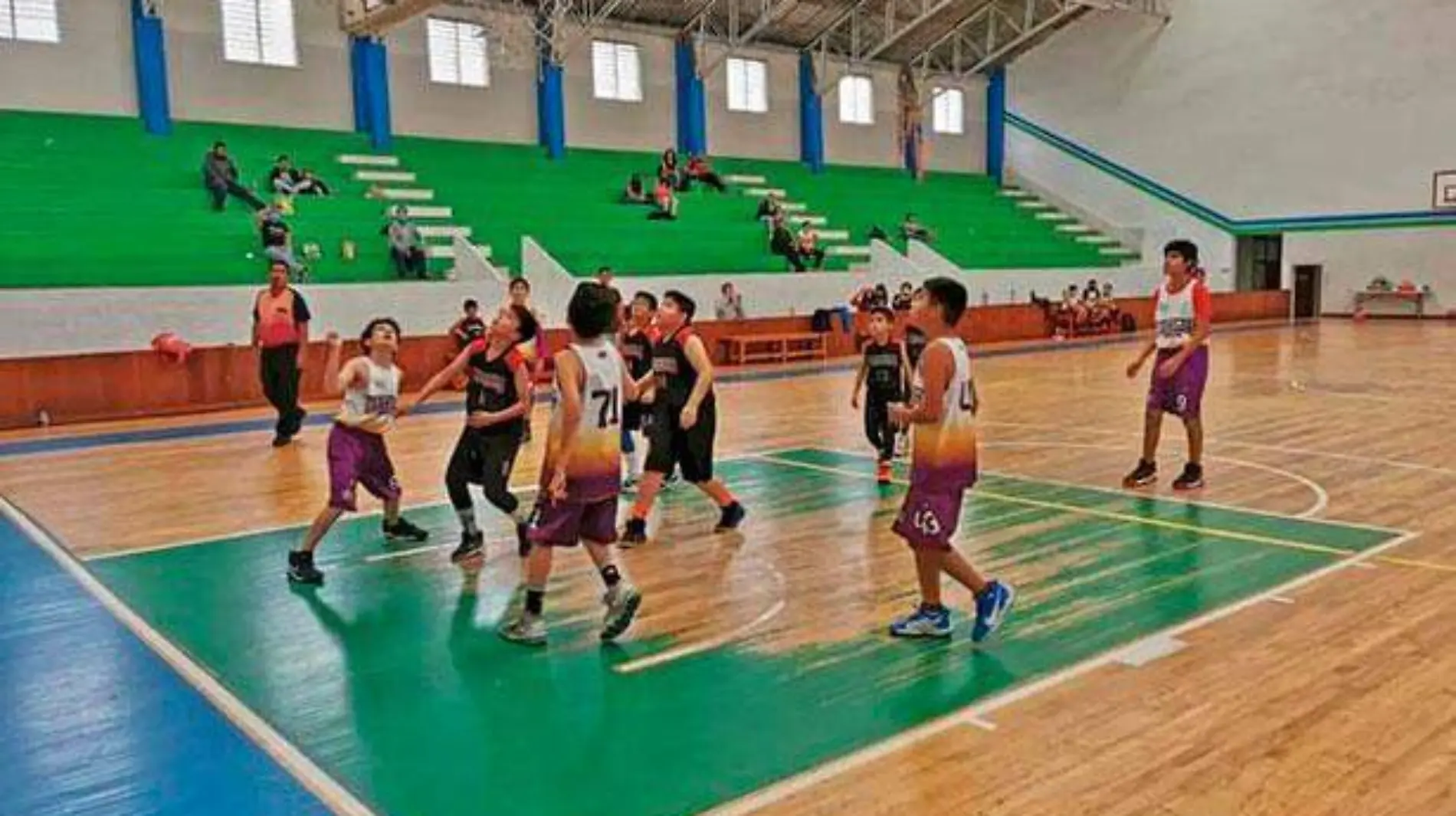 Halcones-Academia