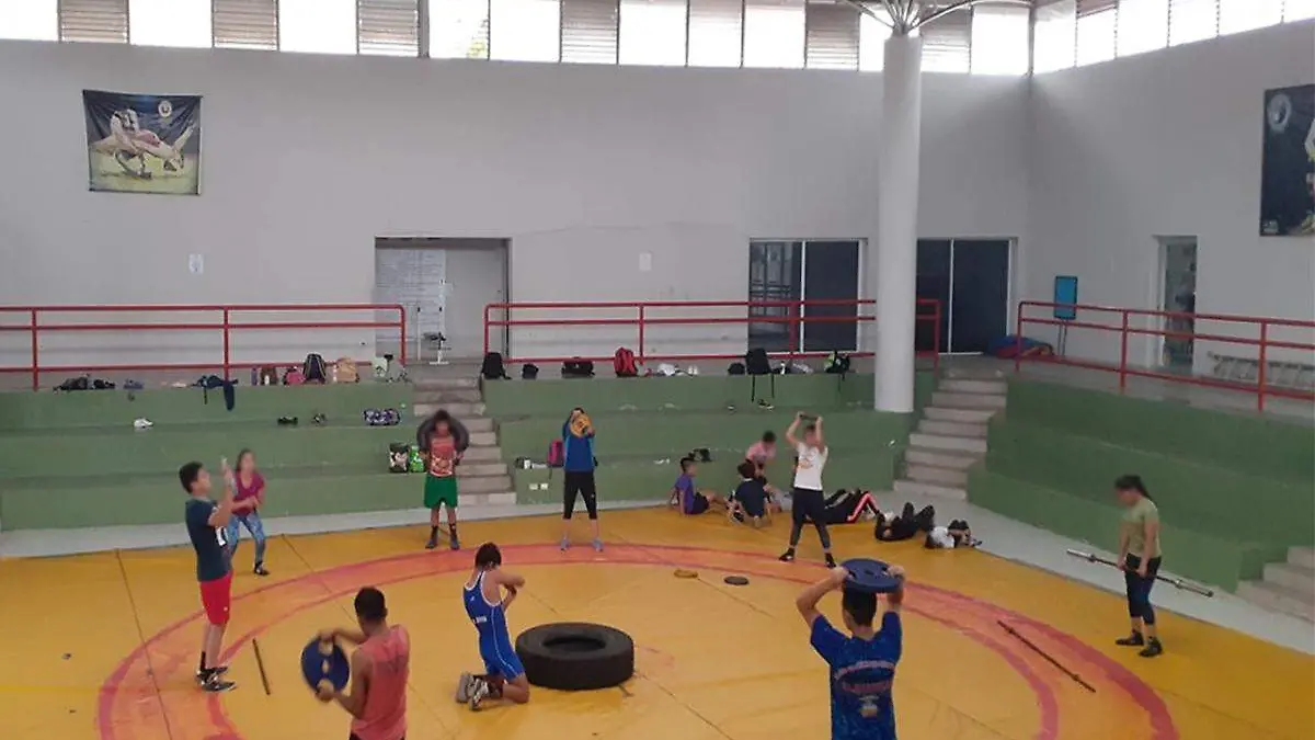 Lucha olímpica
