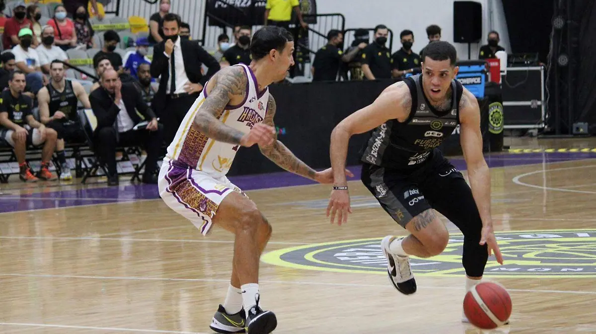 Halcones-de-Xalapa