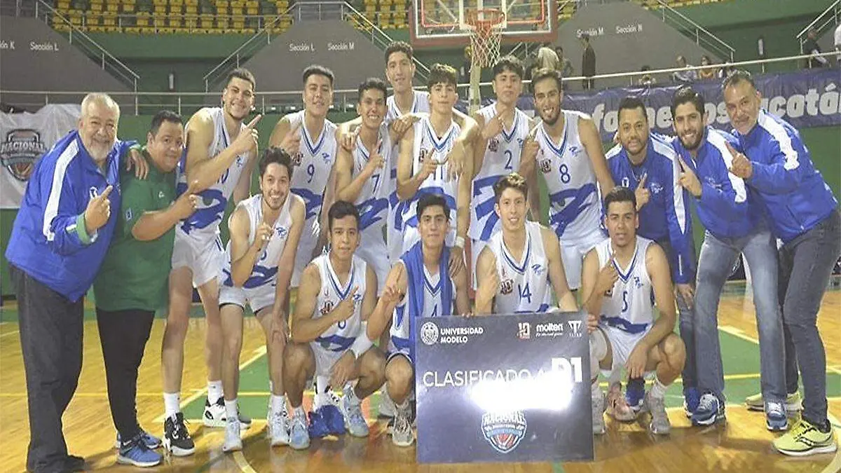Halcones UV