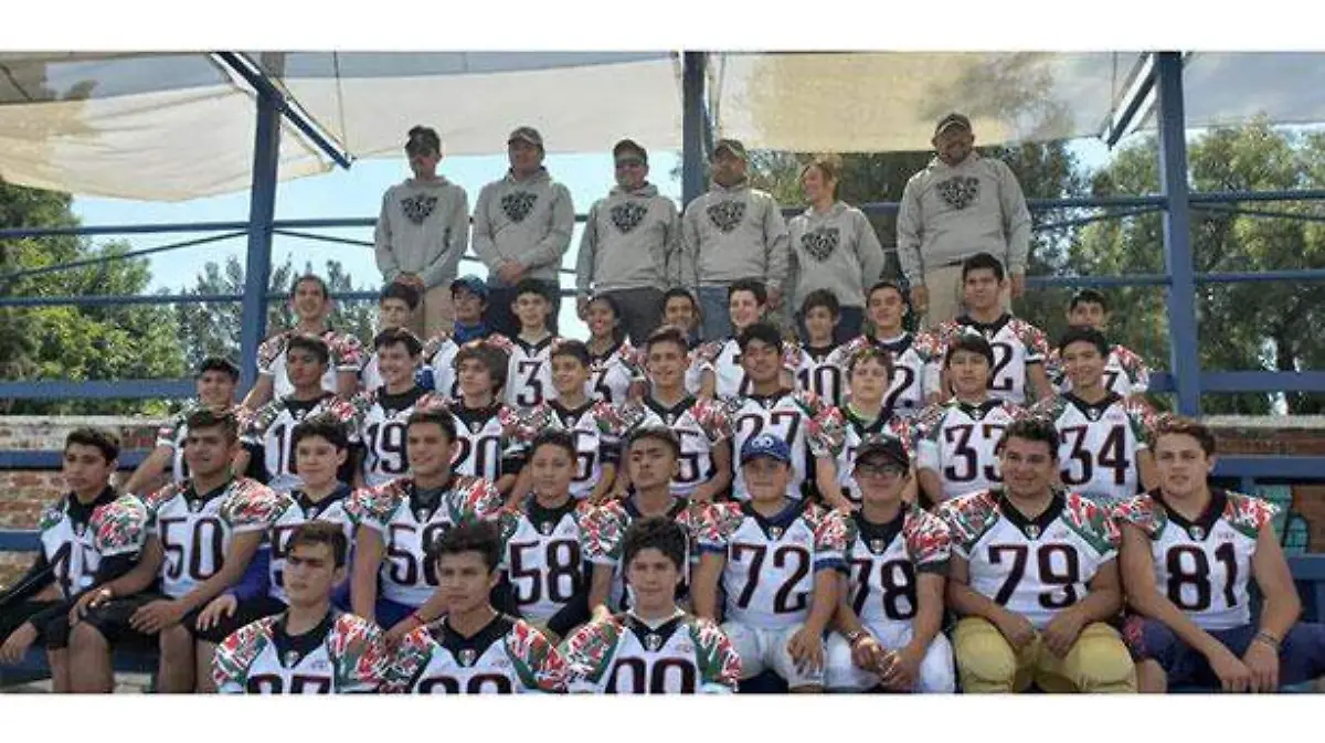 seleccion1
