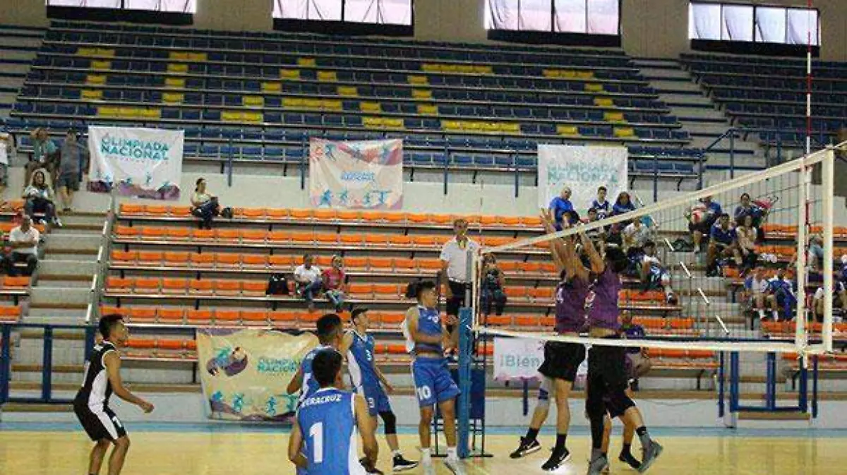Voleibol