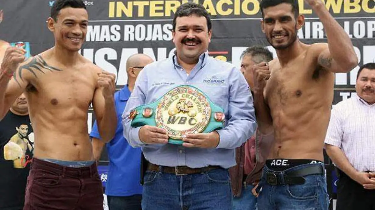 gusano2
