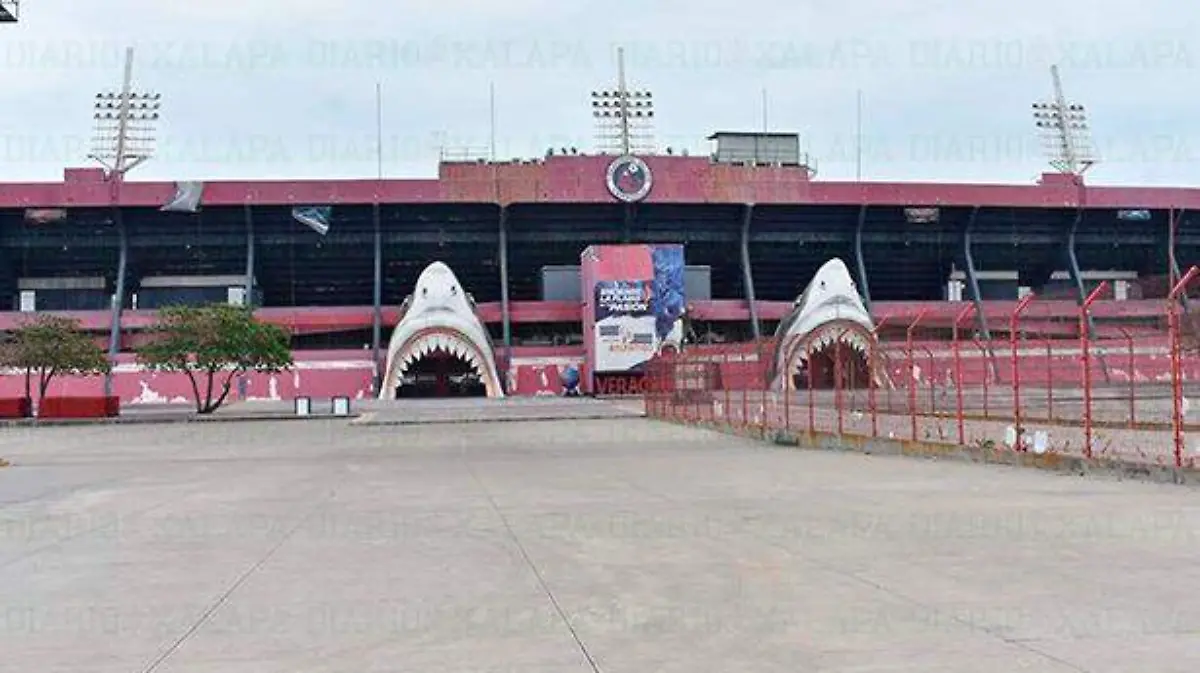 tiburones