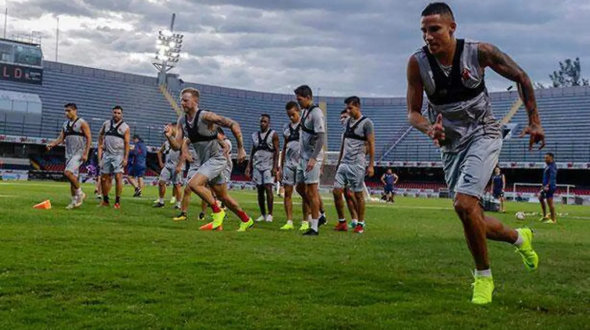 Tiburones-1