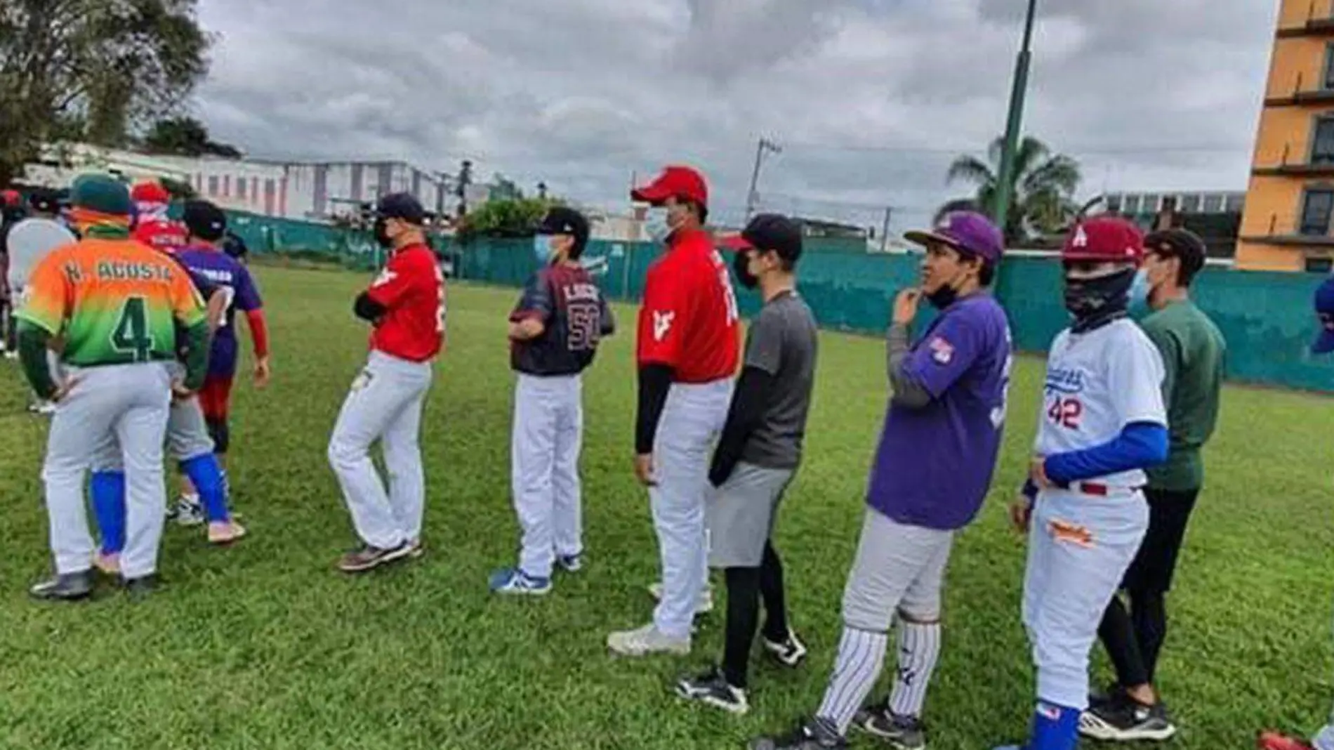 Copa-de-beisbol