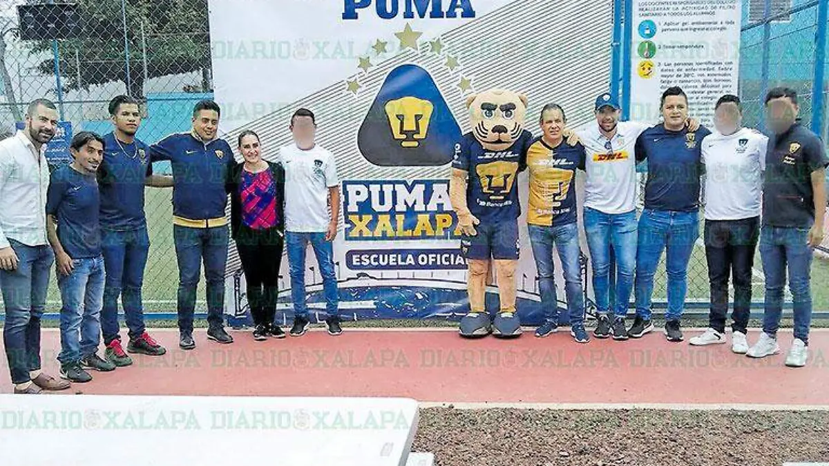pumas