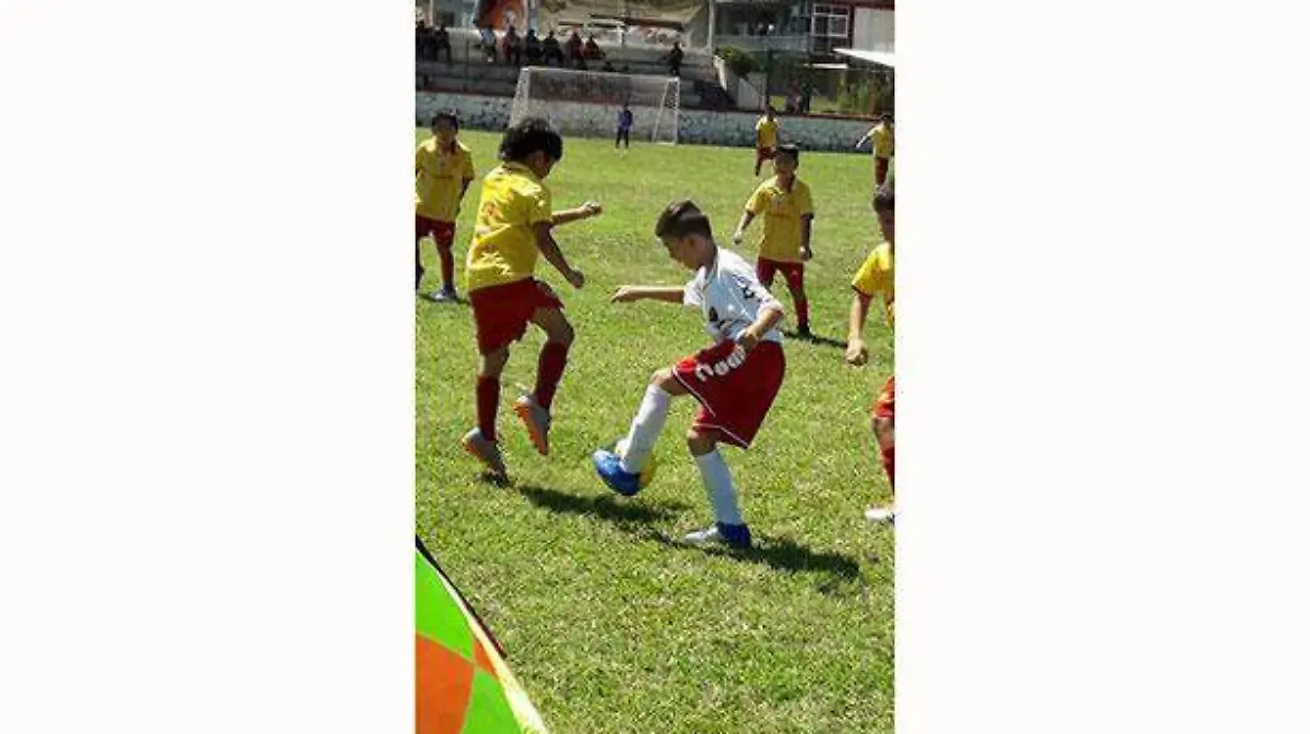 Jornada 