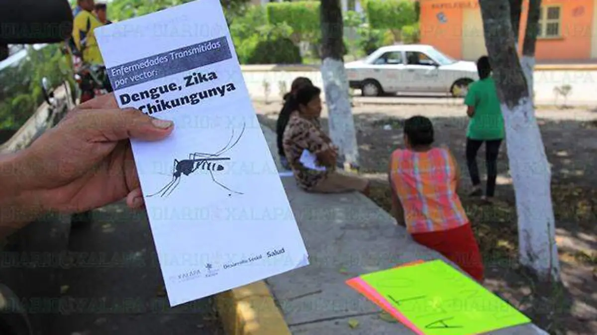 Cuidados-del-Dengue