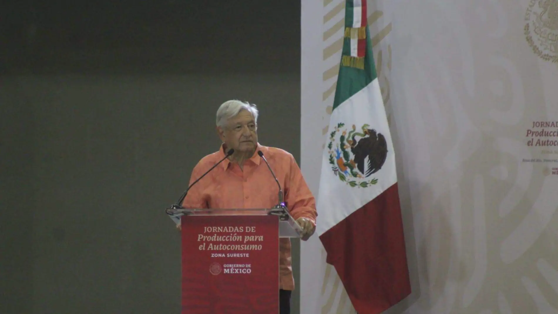 amlo