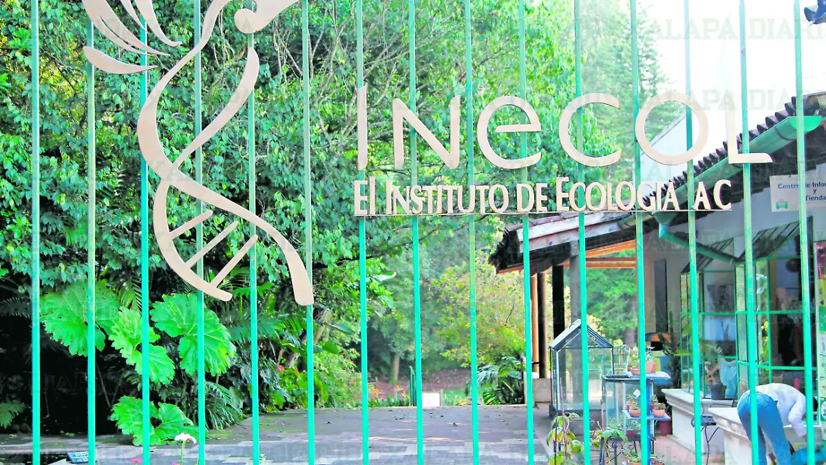 inecol