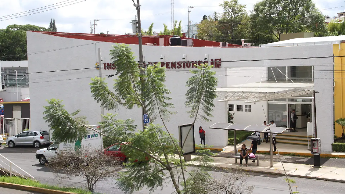 RENE-IPE (1)